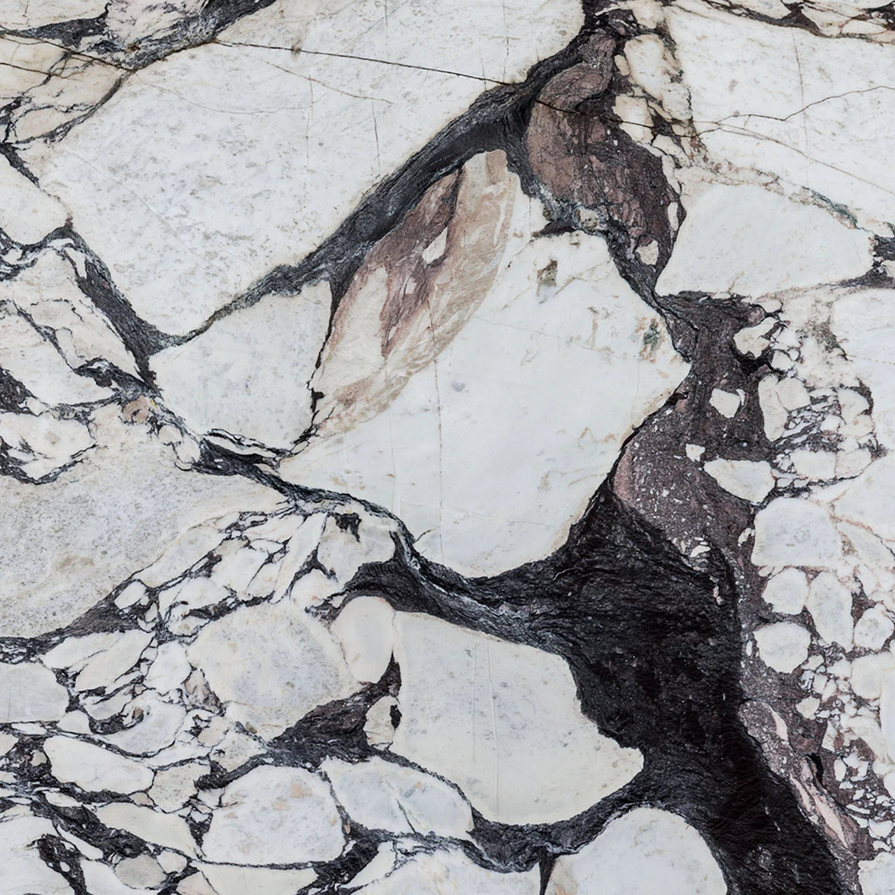 Calacatta Viola Marble Honed Slab