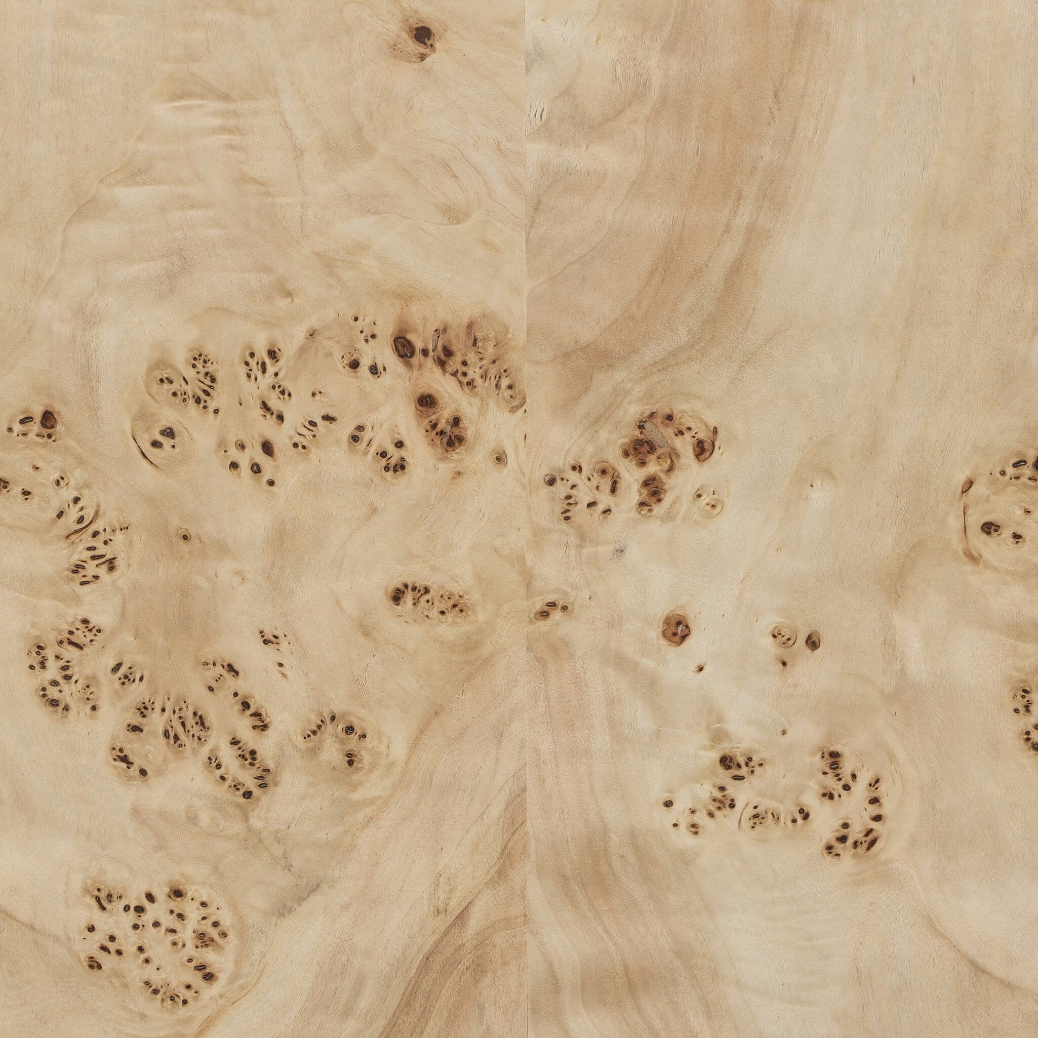 Elana Coffee Table